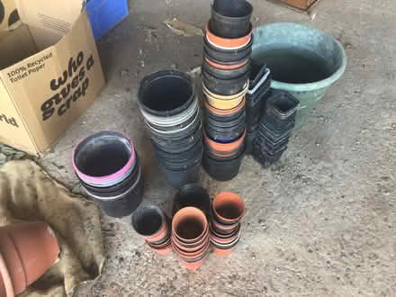 Photo of free Plant Pots (Yarpole HR6) #1
