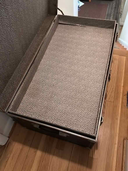 Photo of free camp trunk (Hastings on Hudson) #3