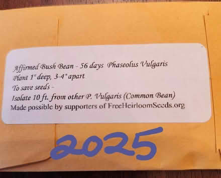 Photo of free bush beans and parsley seeds (2025) (SE Washington DC) #2