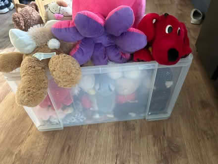Photo of free Huge box of good soft toys (CH61) #2