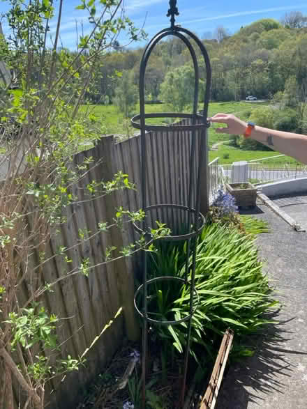 Photo of free Metal Garden Obelisk Trellis (Plymouth PL5) #1