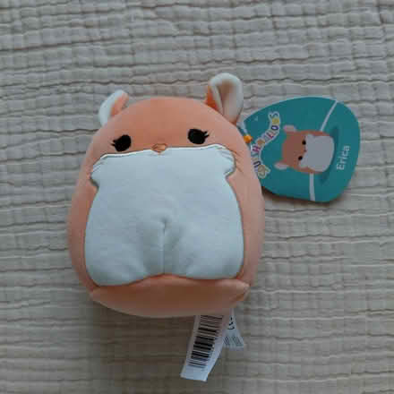 Photo of free Squishmallows - Erica (Union City) #1