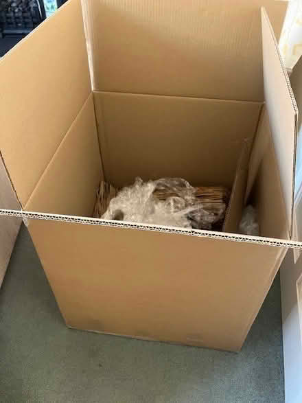 Photo of free Very large cardboard box (Dorking RH4) #1