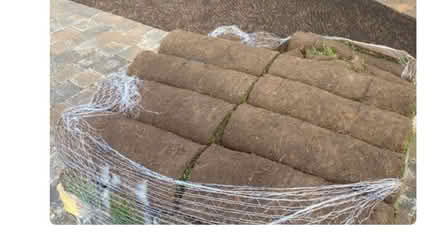 Photo of Turf / grass (bexleyheath DA7) #2