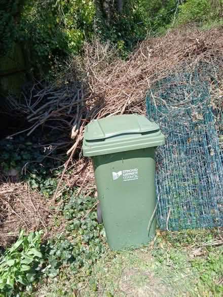 Photo of free Green recycling bin (GL5) #1