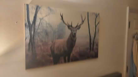 Photo of free painting (Southfields SW18) #1