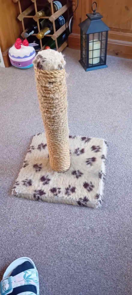 Photo of free Cat scratcher (Hampden Park BN22) #1
