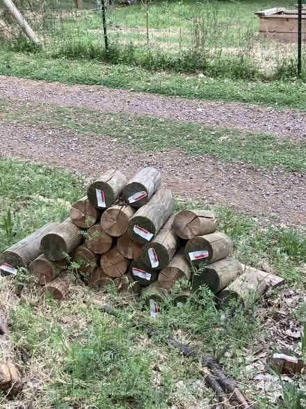 Photo of free Short ends of treated wood poles (Brunswick/Glenwood Basin) #1