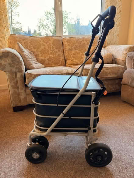 Photo of free Shopping trolley / walking aid (CT13) #2