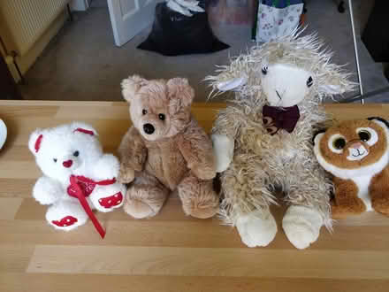 Photo of free Four teddies (Broomhill, G11) #1