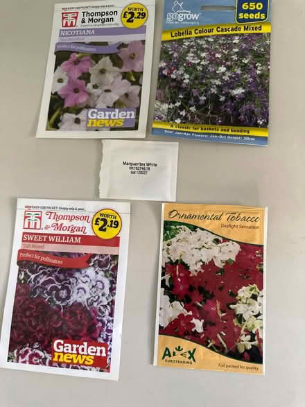 Photo of free Flower seeds (CO4 9 Colchester) #1