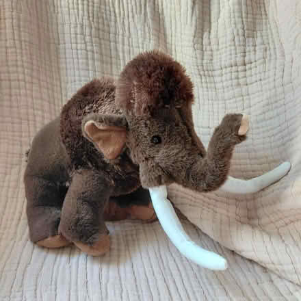 Photo of free Mammoth plush (Union City) #1