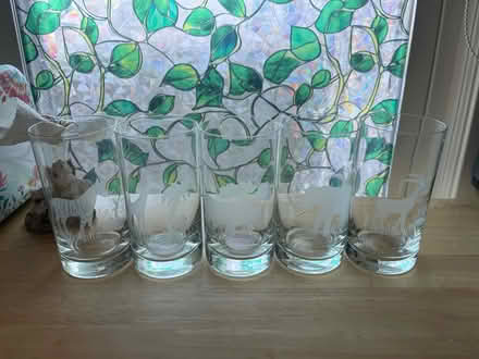 Photo of free 5 cup set of safari animals (Woburn) #1