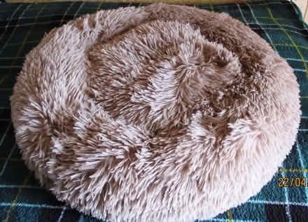 Photo of free Round “Donut” Pet Bed (Odd Down BA2) #3