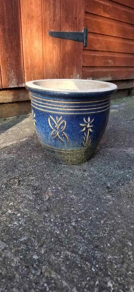 Photo of free Ornamental Plant Pot / Planter (Harrogate HG1) #1