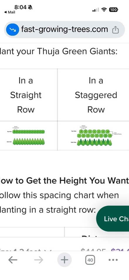 Photo of free 6 New trees (NE Vienna) #2