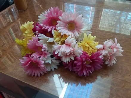 Photo of free fake flowers (near Princeton airport) #1