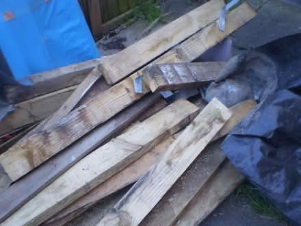 Photo of free Wood (Oxton CH43) #3