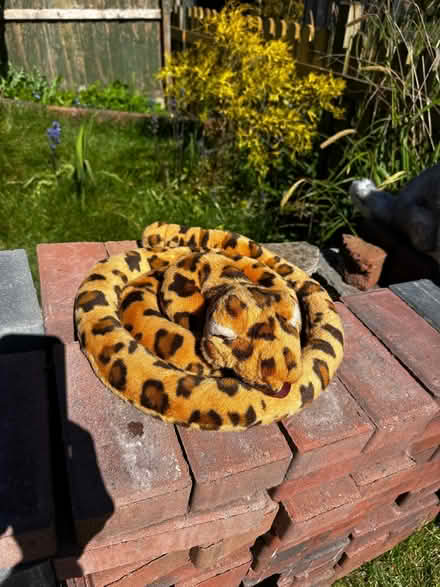 Photo of free Soft toy snake (North Bersted PO22) #1