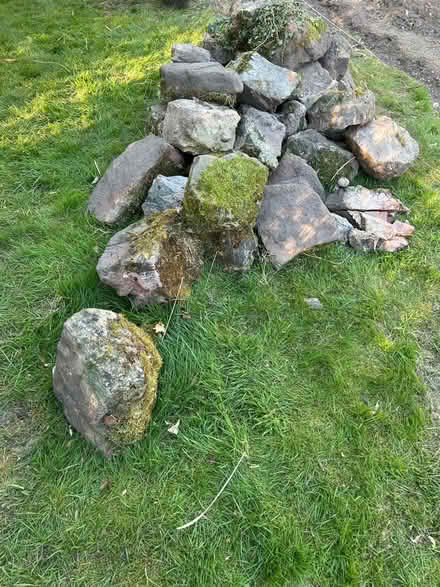 Photo of free Rockery Stones (Dorridge B93) #4
