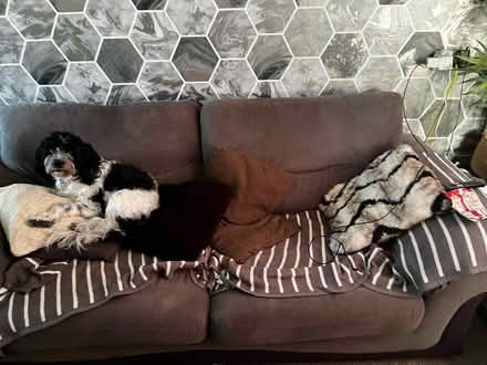 Photo of free Sofas (Stafford ST17) #3