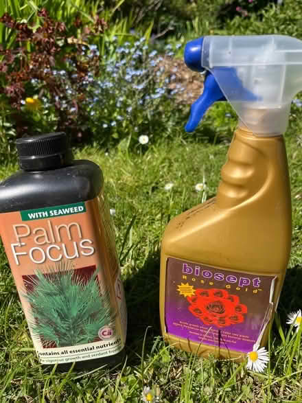 Photo of free Palm food and rose tonic (Oxford OX3) #1