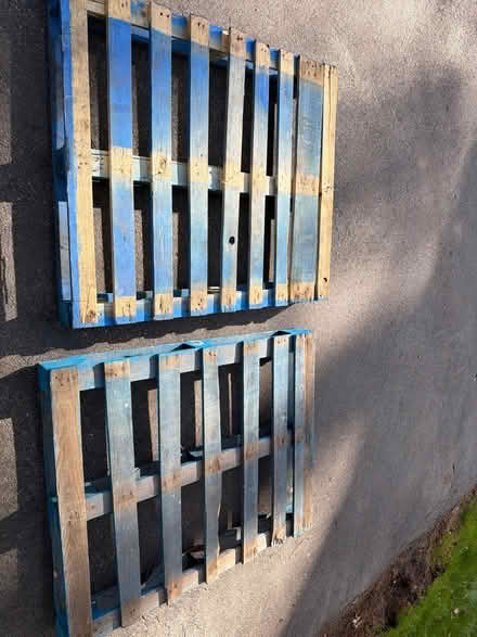 Photo of free Shipping pallets (Goldens Bridge, NY) #1