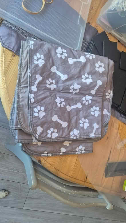 Photo of free 2 puppy pee pads washable (Derby Chaddesden DE21) #1