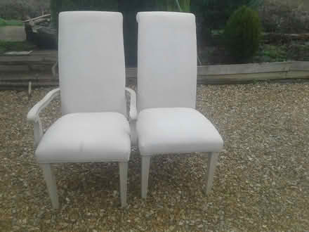 Photo of free Dining chairs x 6 (Horsham RH12 4Q) #1