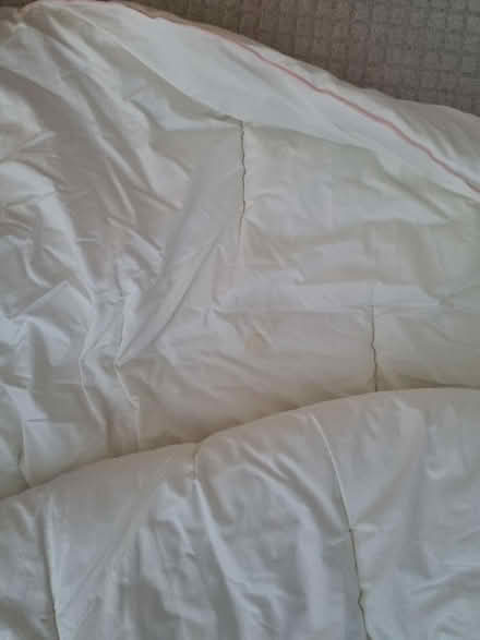 Photo of free Snuggledown synthetic double duvet (Near Lowther Gardens FY8) #4