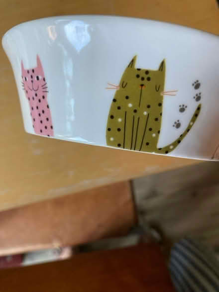 Photo of free Various cat related items (Fishponds) #3