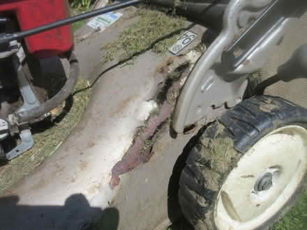 Photo of free Lawnmower - Honda Izy 18" Push - for spares/repair (Seaford BN25) #2