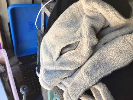 Photo of free Winter coat (IP4) #3