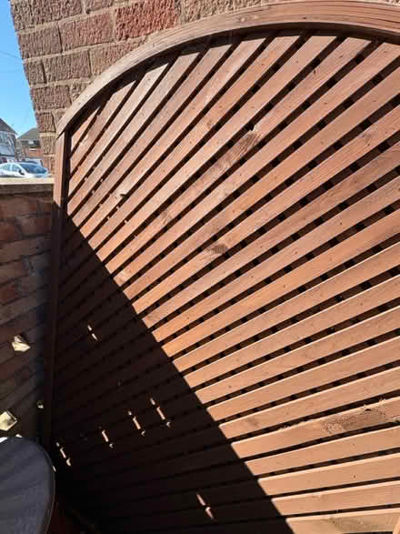 Photo of free Privacy screen (Balderton, NG24) #2