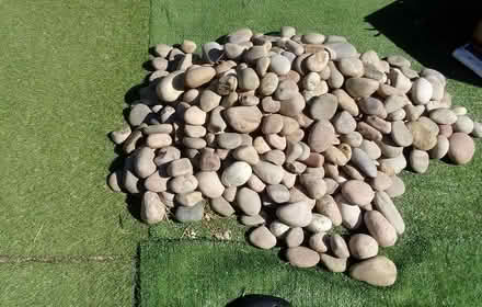 Photo of free Medium sized stones (Folkestone Kent) #1