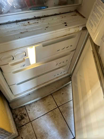 Photo of free Fridge and household furniture (Cefn Cribwr CF32) #4