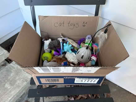 Photo of free Box o cat toys (Arlington) #1