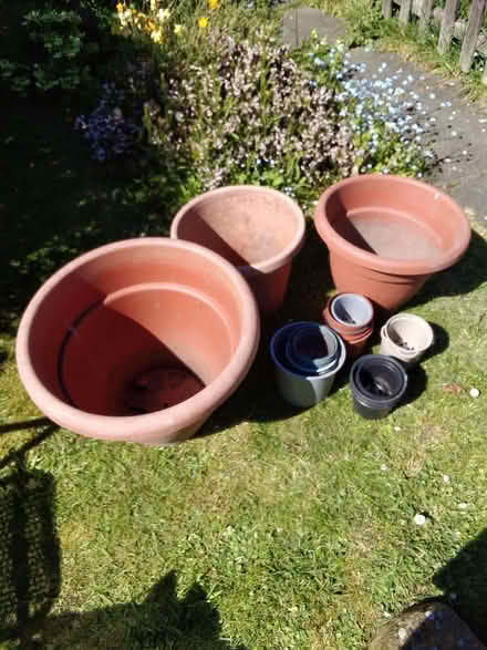 Photo of free Plastic plant pots (Baldock SG7) #1
