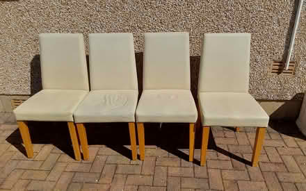 Photo of free 4 Cream Leather Dining Chairs (Bare LA4) #2