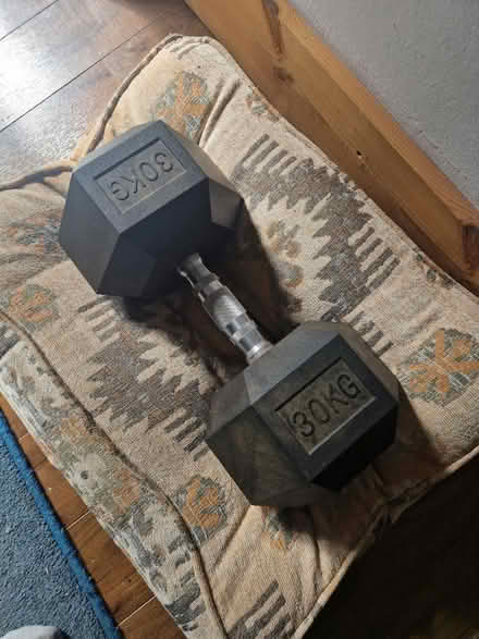 Photo of free 30kg dumbell (De126jj) #1