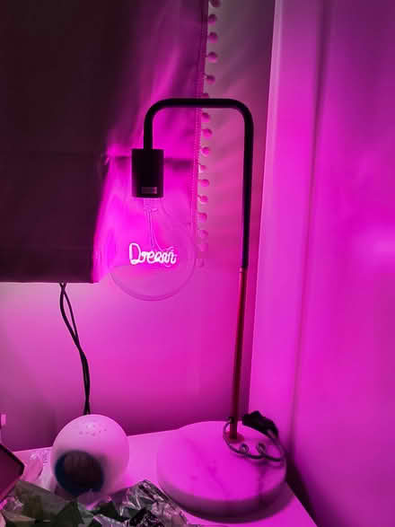 Photo of free Neon Lamp (Central Reading RG1) #1