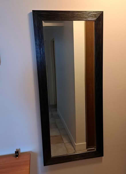 Photo of free Tall mirror (Etobicoke) #1