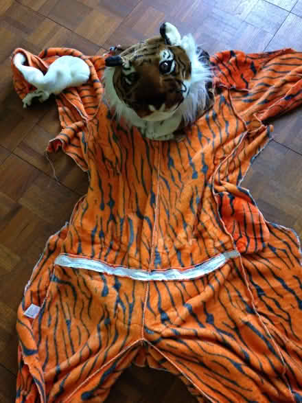 Photo of free Tiger costume (Oakridge RG21) #3