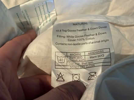 Photo of free Duvets (Notting Hill Gate W11) #2