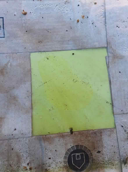 Photo of free Green wall tiles (Ashbourne DE6 1) #1