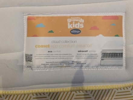 Photo of free Single mattress (SW18) #2