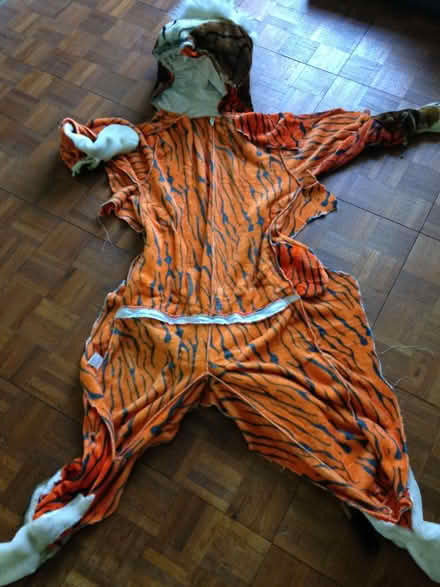 Photo of free Tiger costume (Oakridge RG21) #2