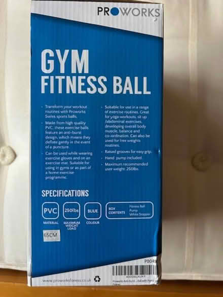 Photo of free Fitness ball (Bridge of Allan FK9) #2