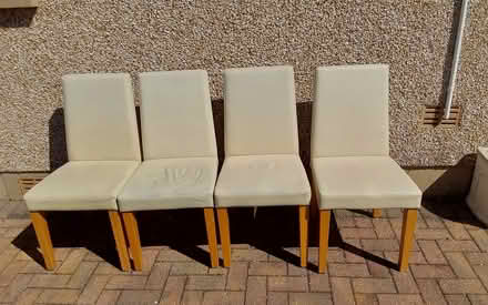 Photo of free 4 Cream Leather Dining Chairs (Bare LA4) #1