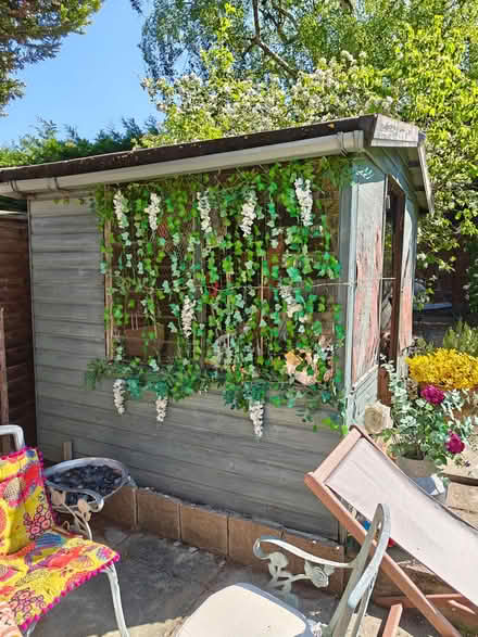 Photo of free 8ftx7ft x7ft shed (Send GU23) #1
